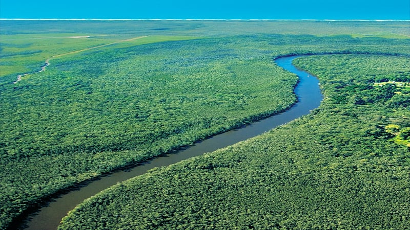 Explore the Noosa Everglades with by canoe and boat on the popular Cruise N' Canoe day tour ex Noosa.